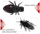 Remote Control Toy Ant: Fake Insect: Joke Scare Prank: Novelty Fun Gift - India Gadgetz